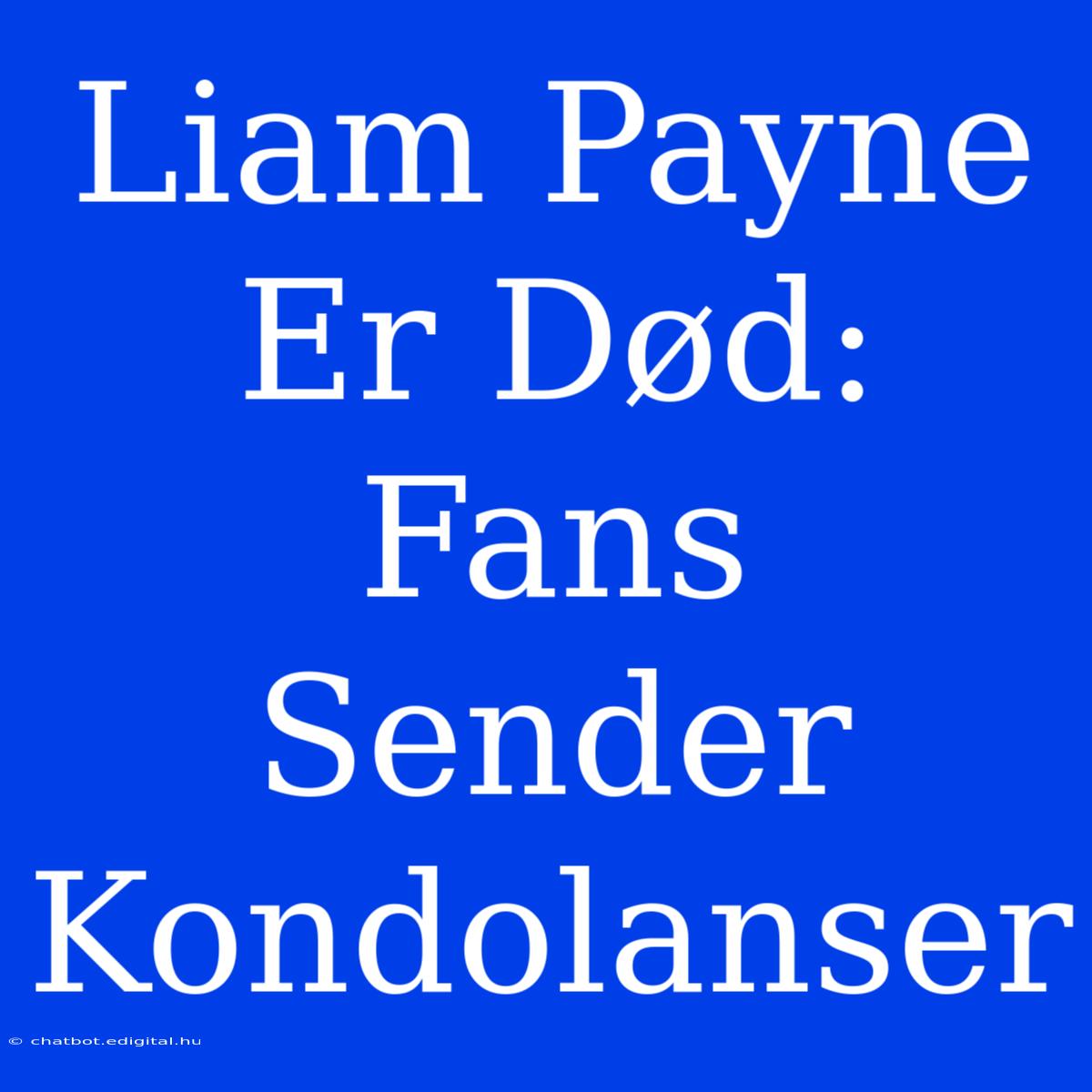 Liam Payne Er Død: Fans Sender Kondolanser