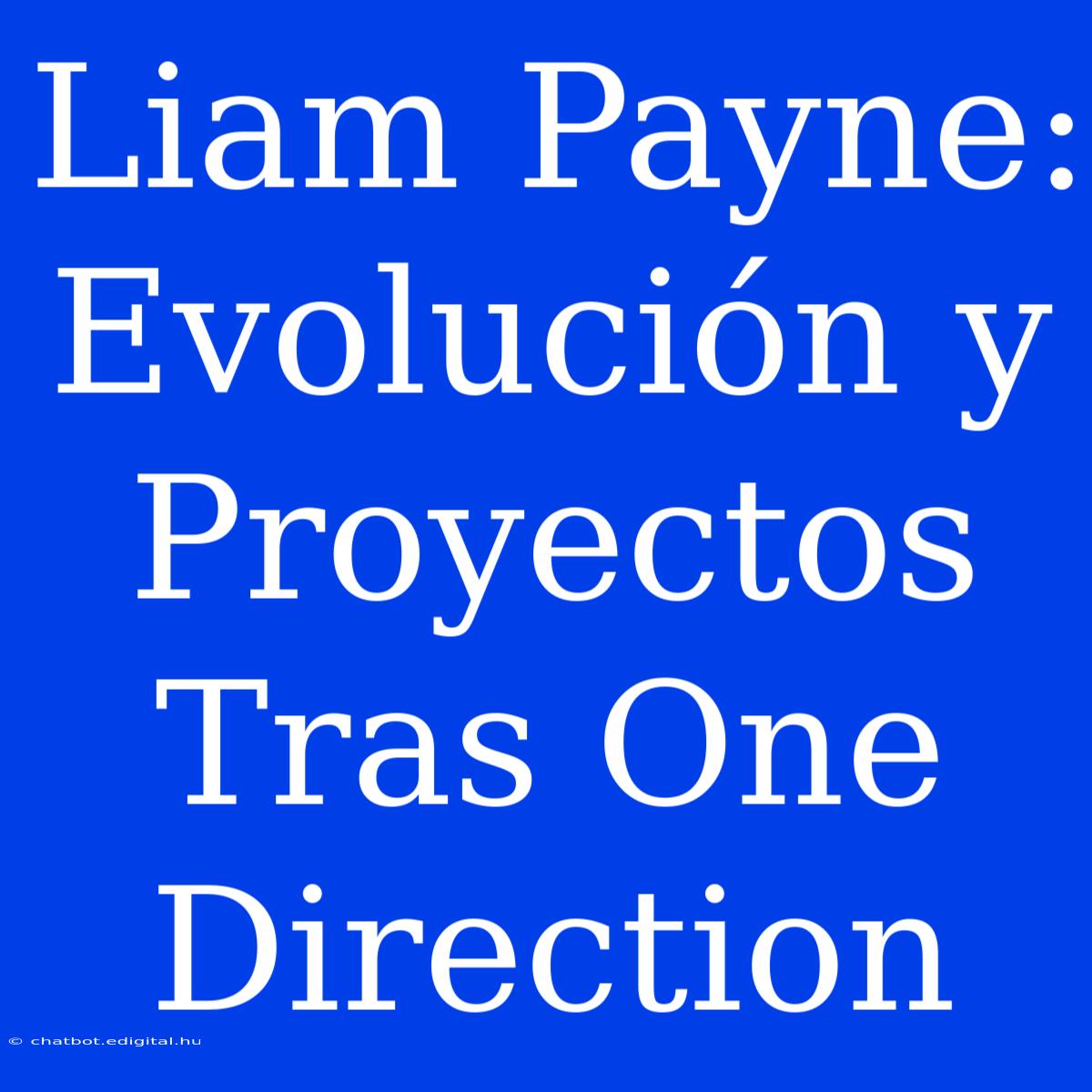 Liam Payne: Evolución Y Proyectos Tras One Direction