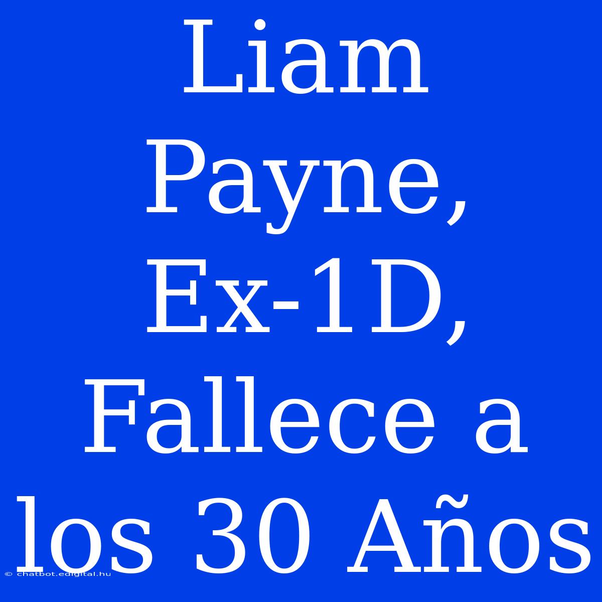 Liam Payne, Ex-1D, Fallece A Los 30 Años