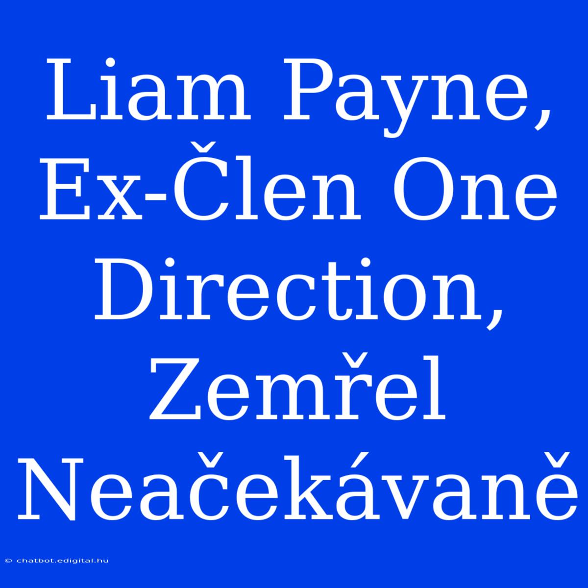 Liam Payne, Ex-Člen One Direction, Zemřel Neačekávaně 