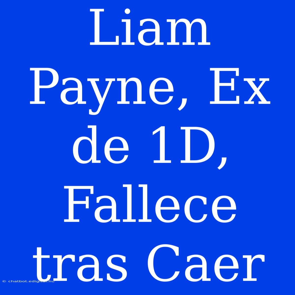 Liam Payne, Ex De 1D, Fallece Tras Caer