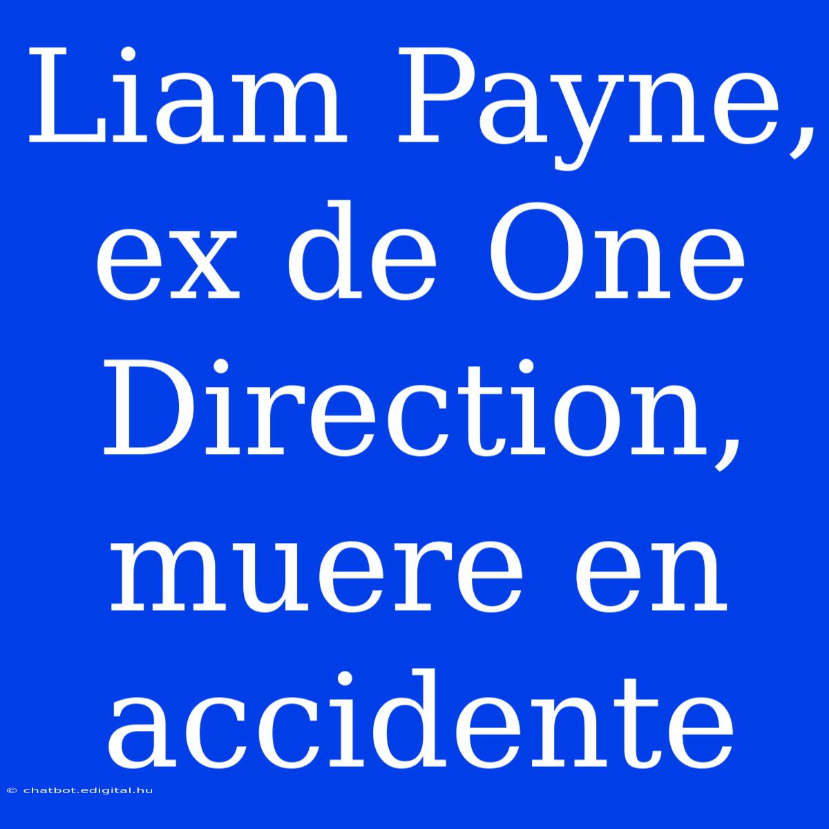 Liam Payne, Ex De One Direction, Muere En Accidente