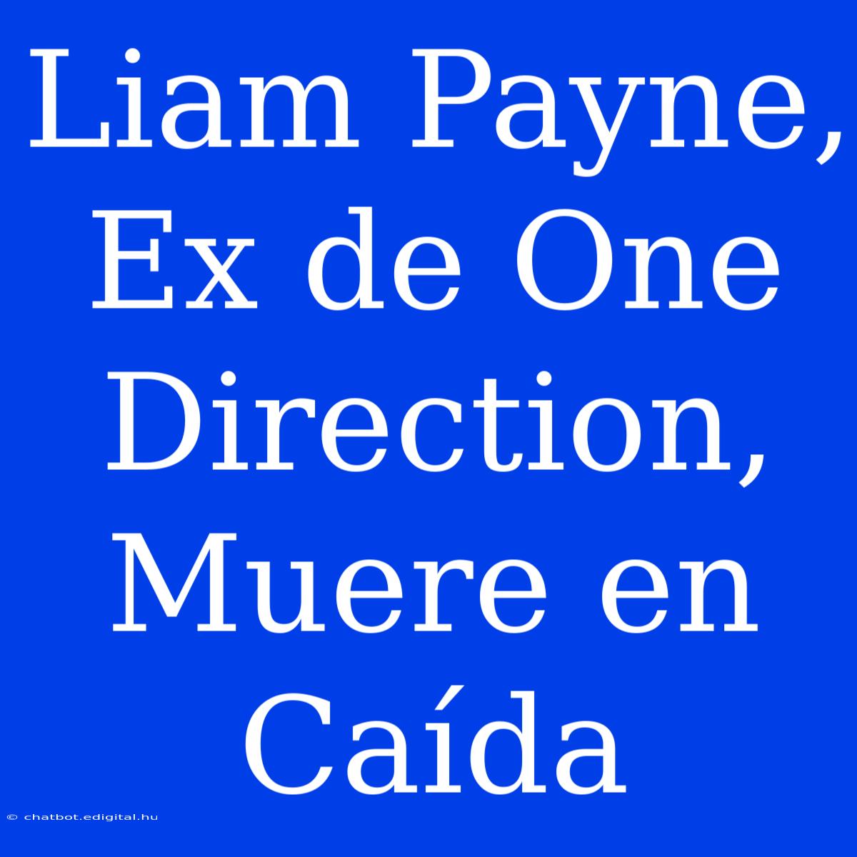 Liam Payne, Ex De One Direction, Muere En Caída