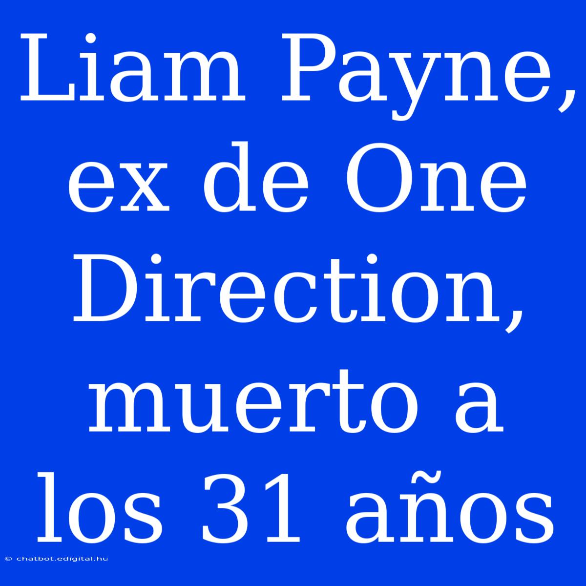 Liam Payne, Ex De One Direction, Muerto A Los 31 Años