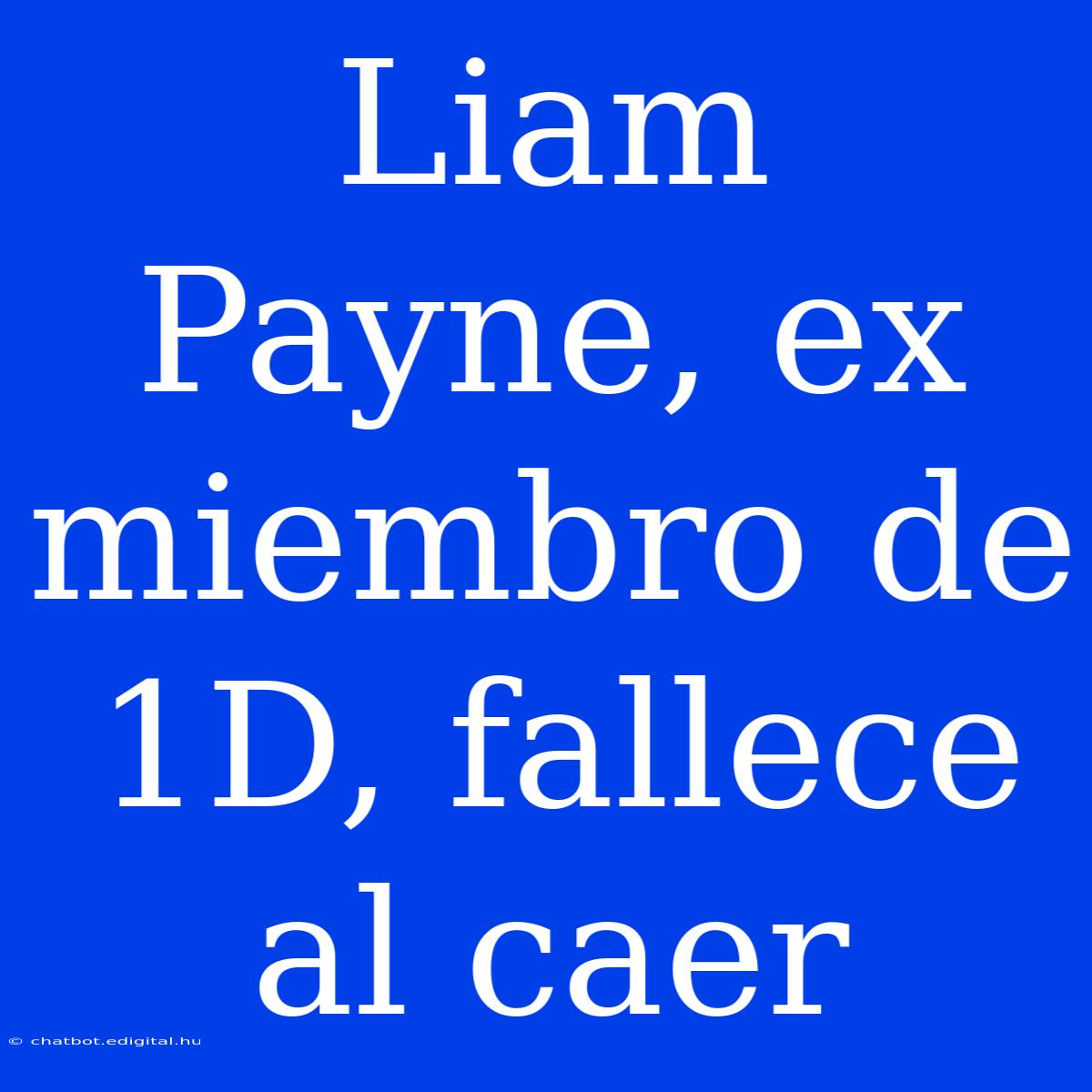 Liam Payne, Ex Miembro De 1D, Fallece Al Caer