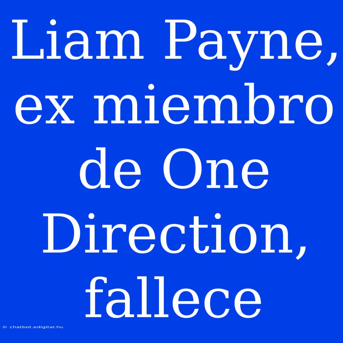 Liam Payne, Ex Miembro De One Direction, Fallece