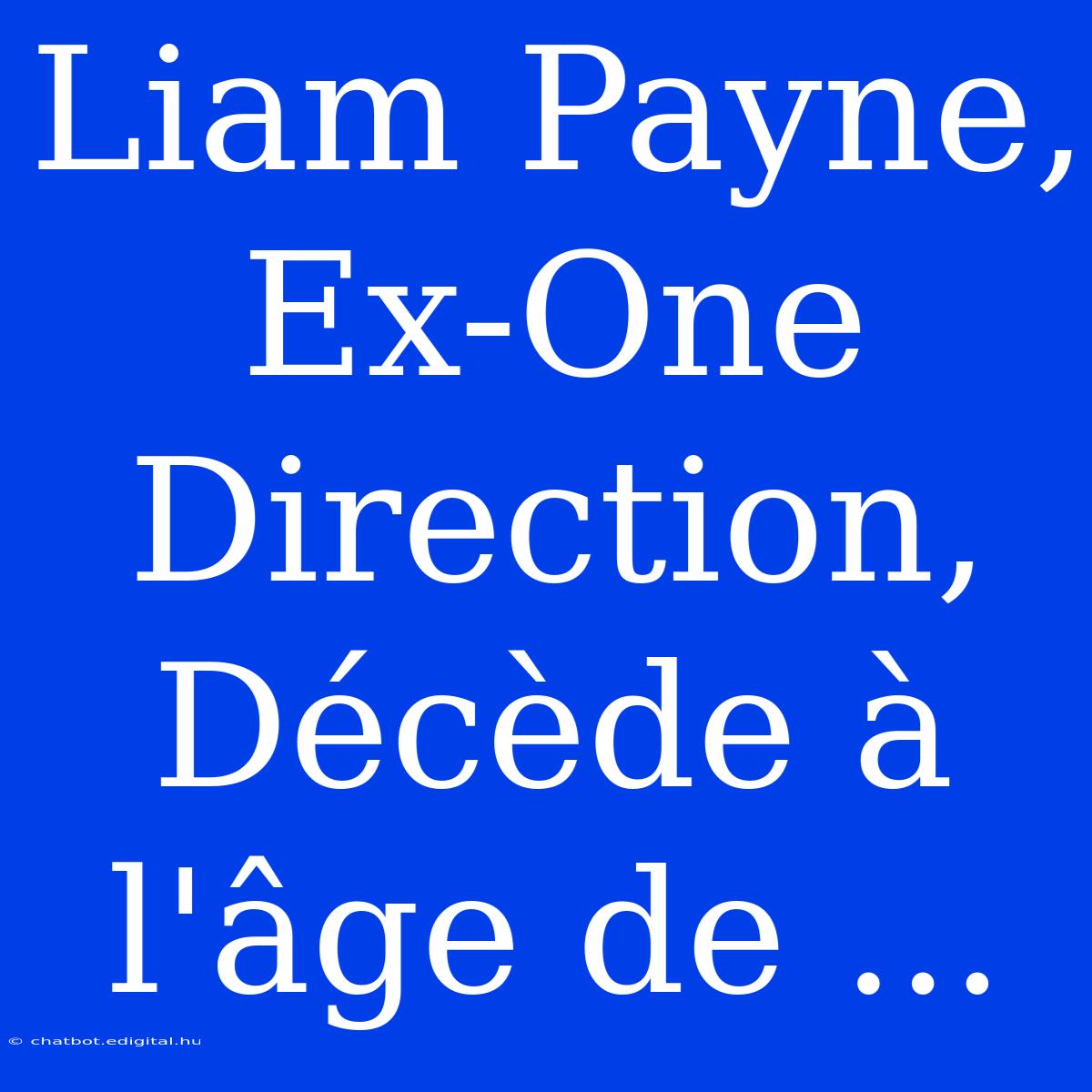 Liam Payne, Ex-One Direction, Décède À L'âge De ...