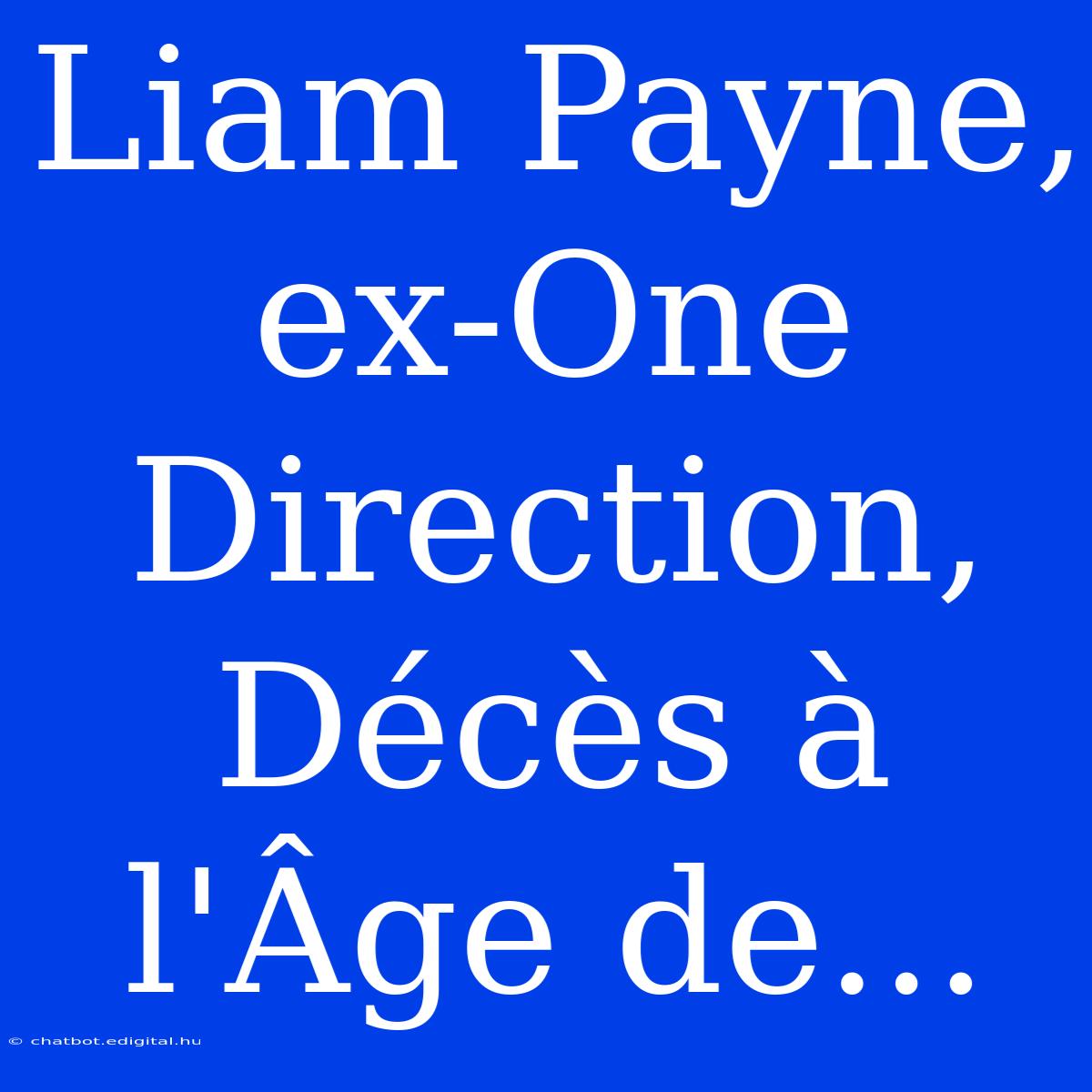 Liam Payne, Ex-One Direction, Décès À L'Âge De...