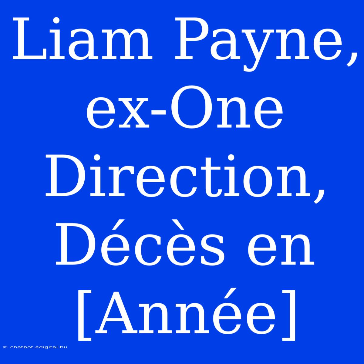 Liam Payne, Ex-One Direction, Décès En [Année]