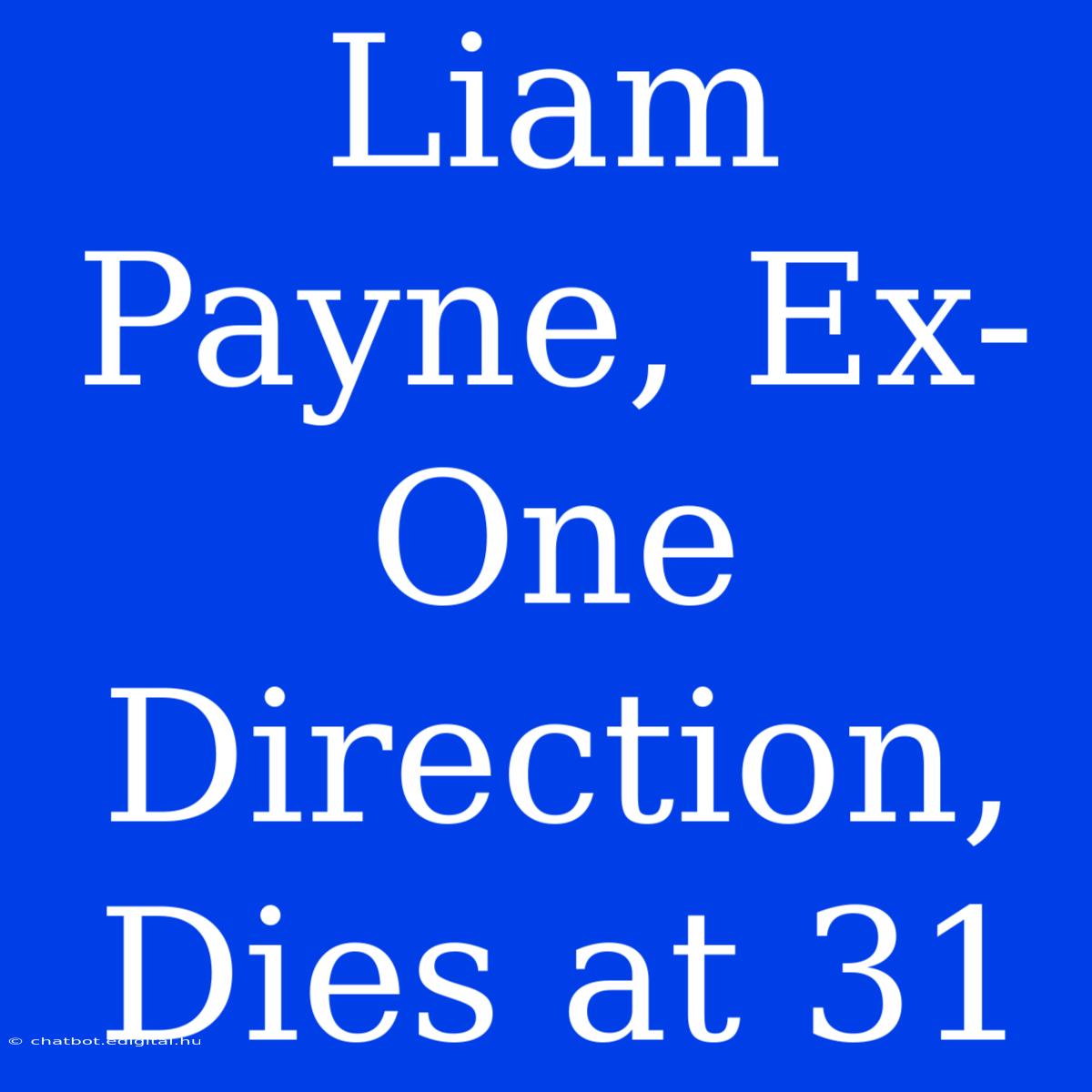 Liam Payne, Ex-One Direction, Dies At 31 