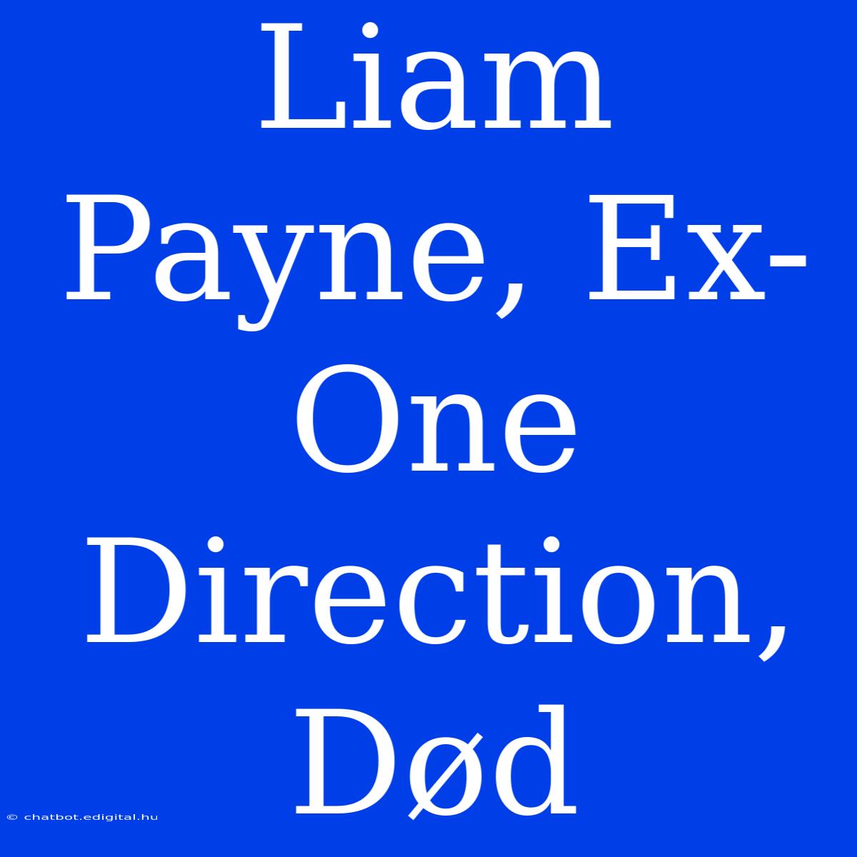 Liam Payne, Ex-One Direction, Død