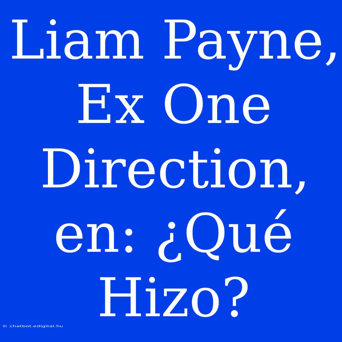 Liam Payne, Ex One Direction, En: ¿Qué Hizo?