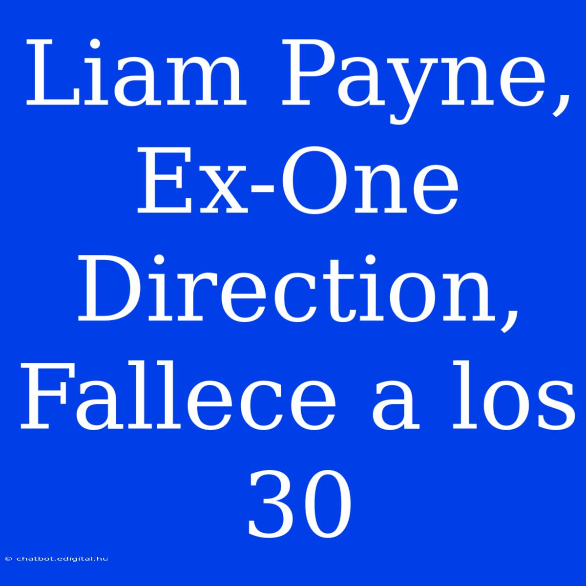 Liam Payne, Ex-One Direction, Fallece A Los 30