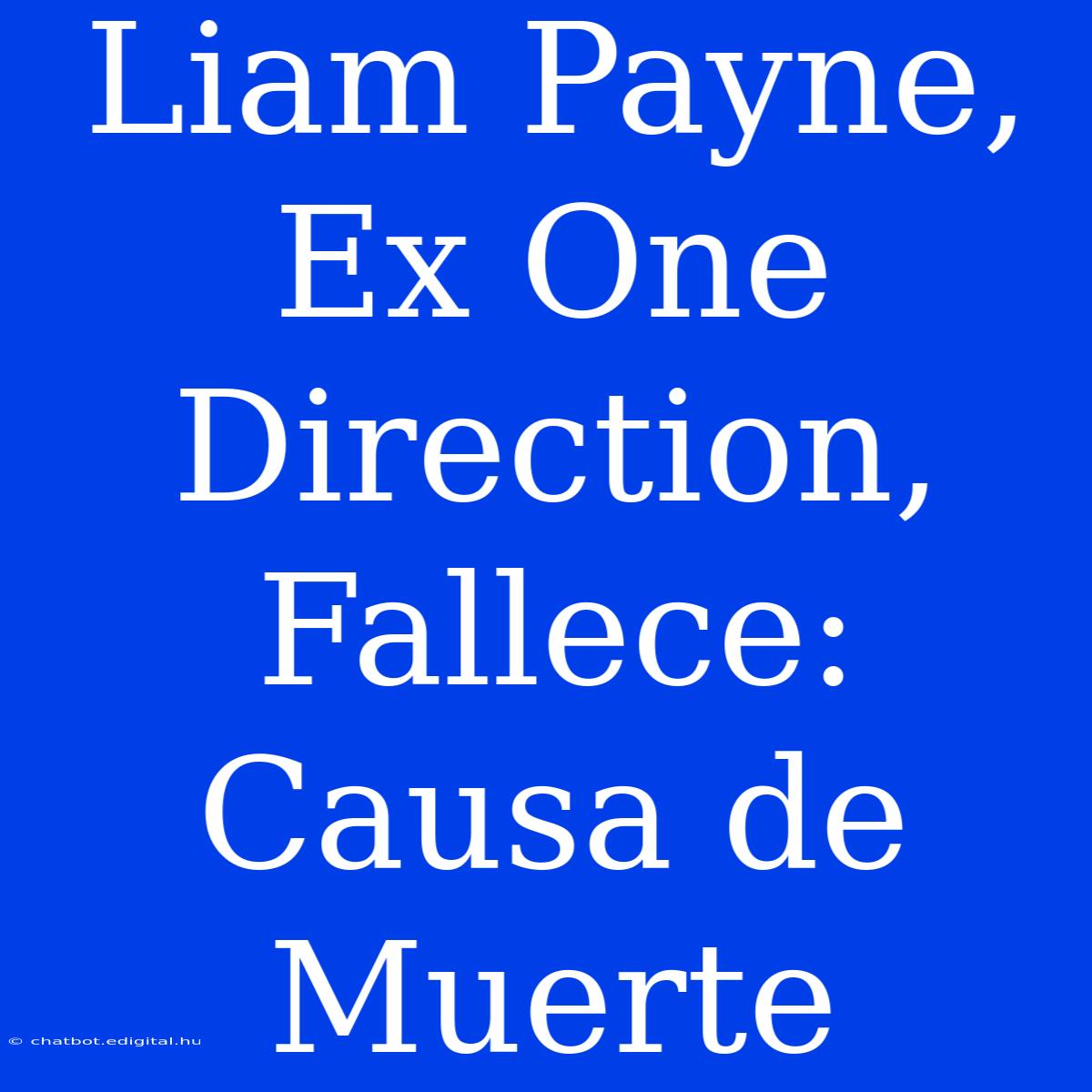 Liam Payne, Ex One Direction, Fallece: Causa De Muerte 