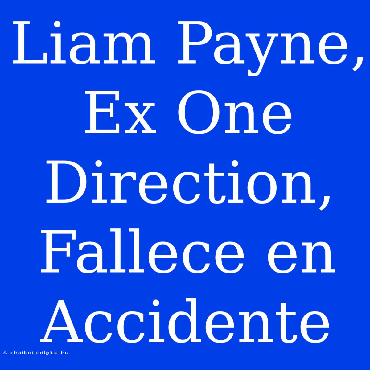 Liam Payne, Ex One Direction, Fallece En Accidente