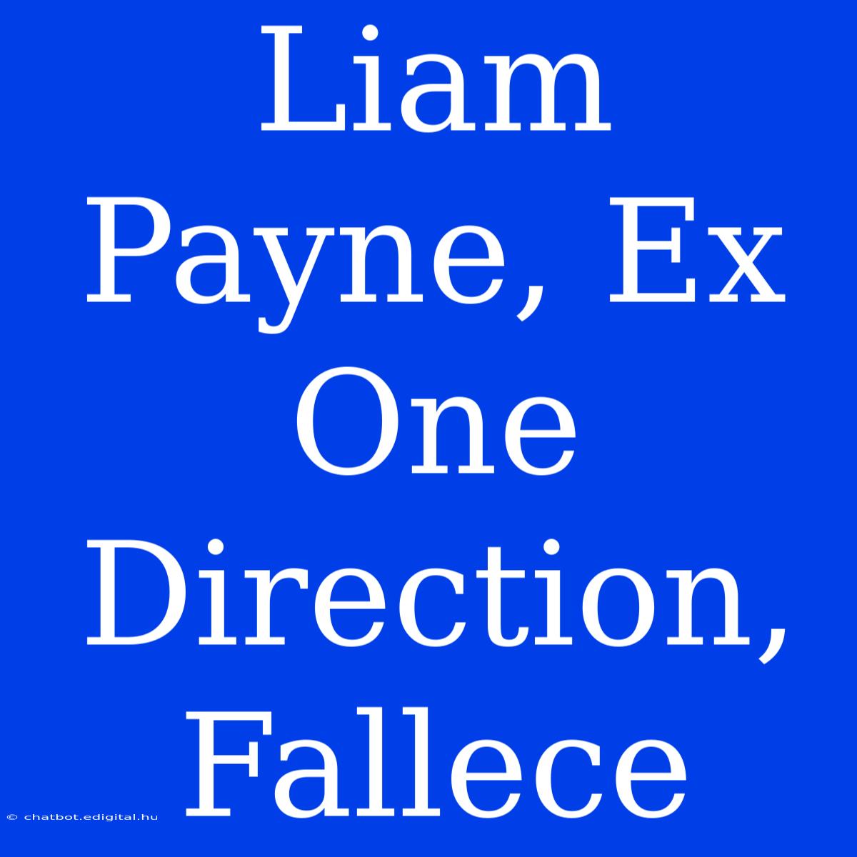 Liam Payne, Ex One Direction, Fallece