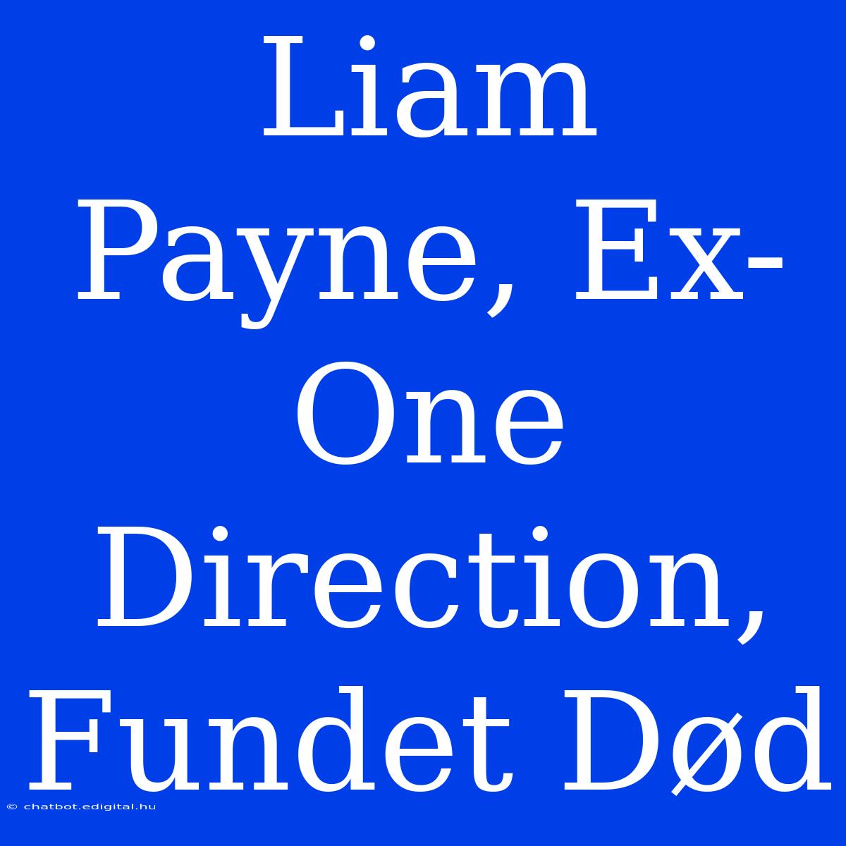 Liam Payne, Ex-One Direction, Fundet Død