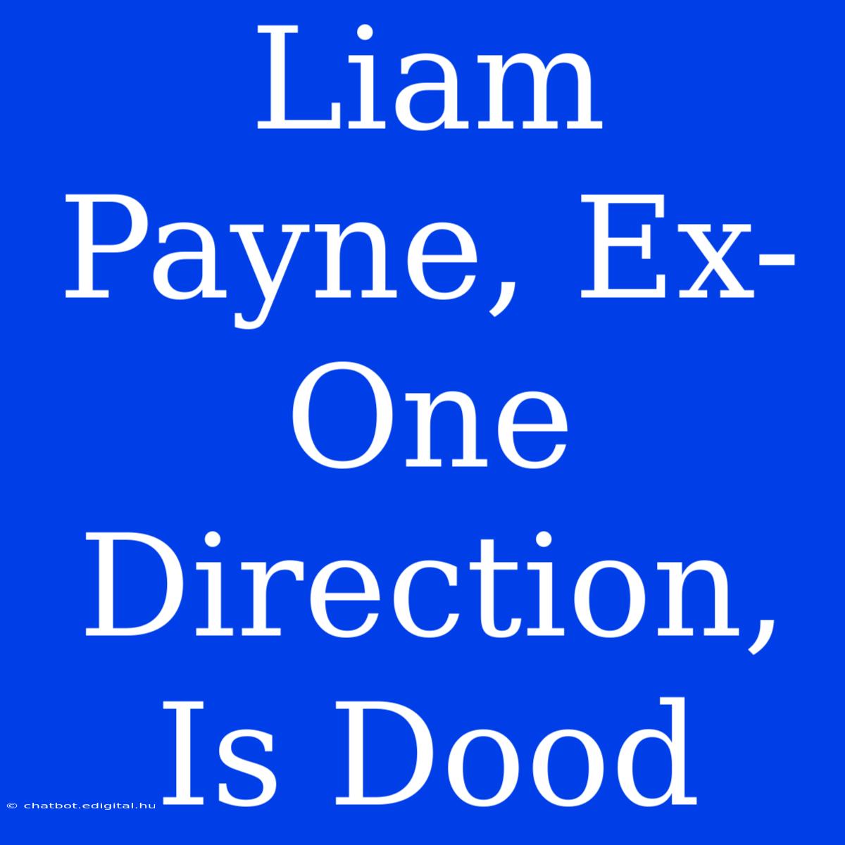 Liam Payne, Ex-One Direction, Is Dood