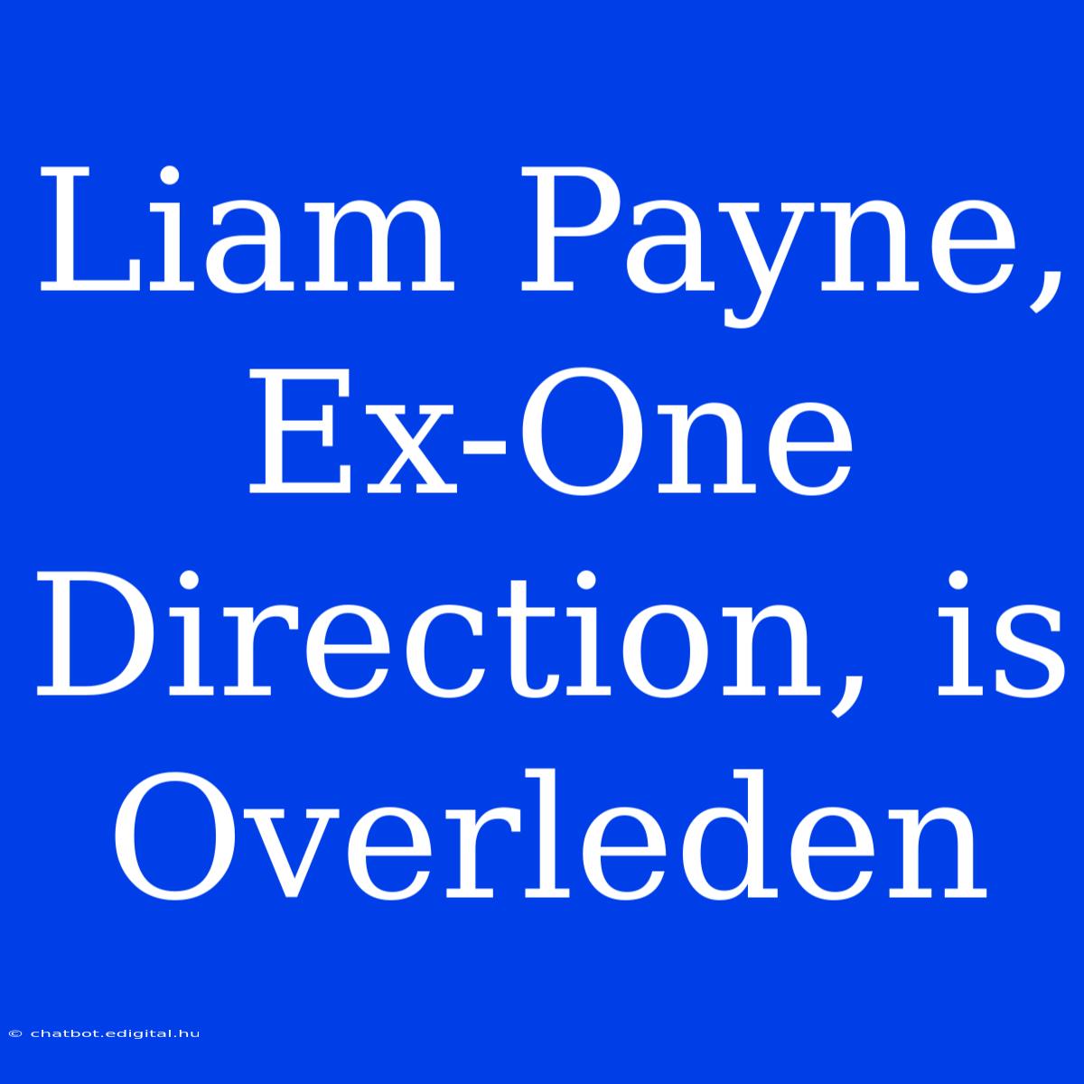 Liam Payne, Ex-One Direction, Is Overleden