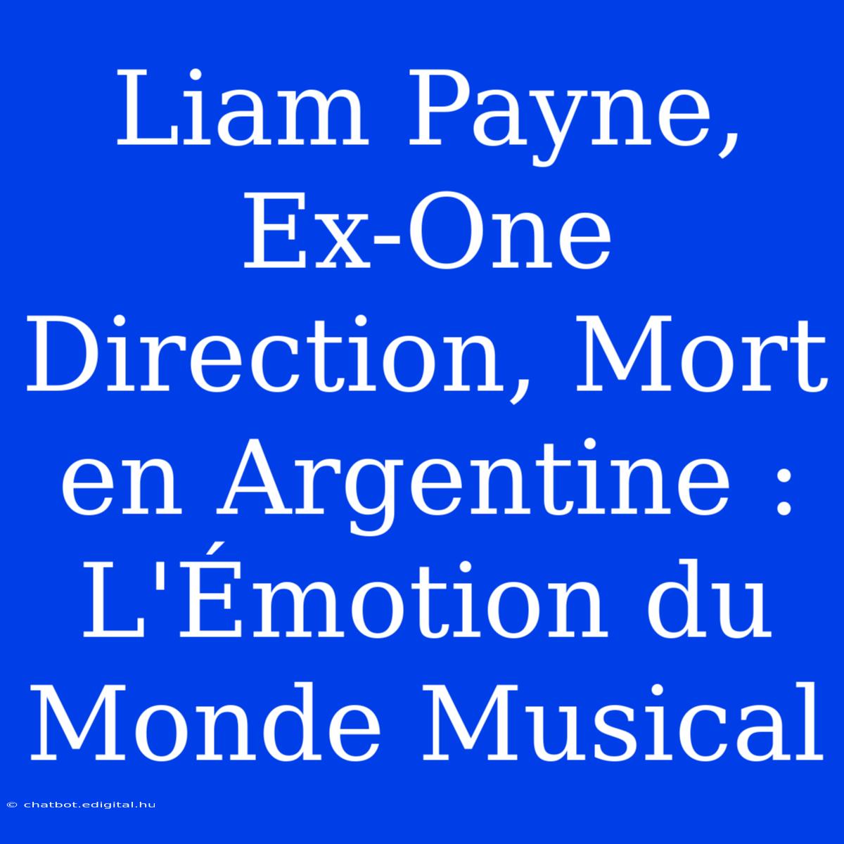 Liam Payne, Ex-One Direction, Mort En Argentine : L'Émotion Du Monde Musical 