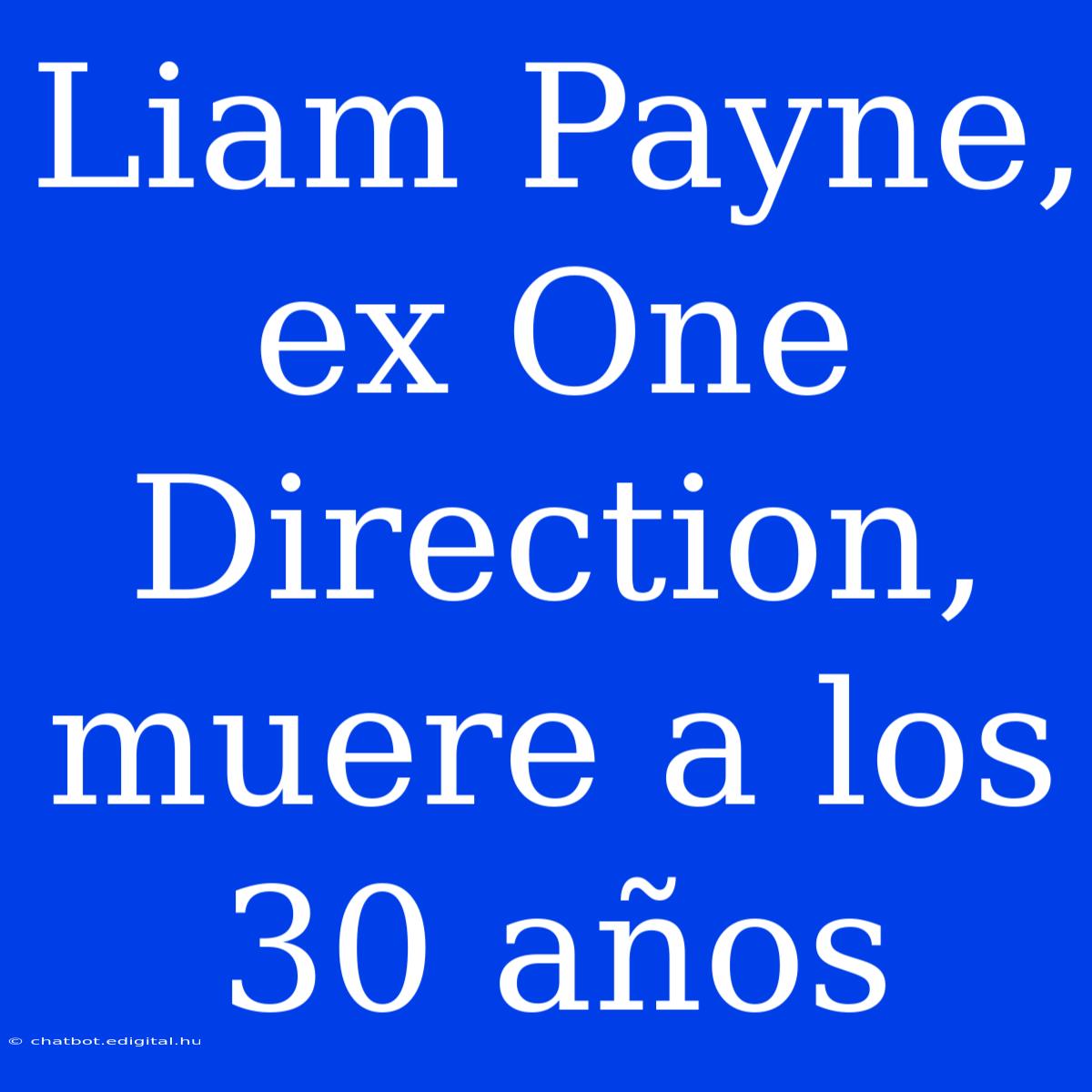 Liam Payne, Ex One Direction, Muere A Los 30 Años