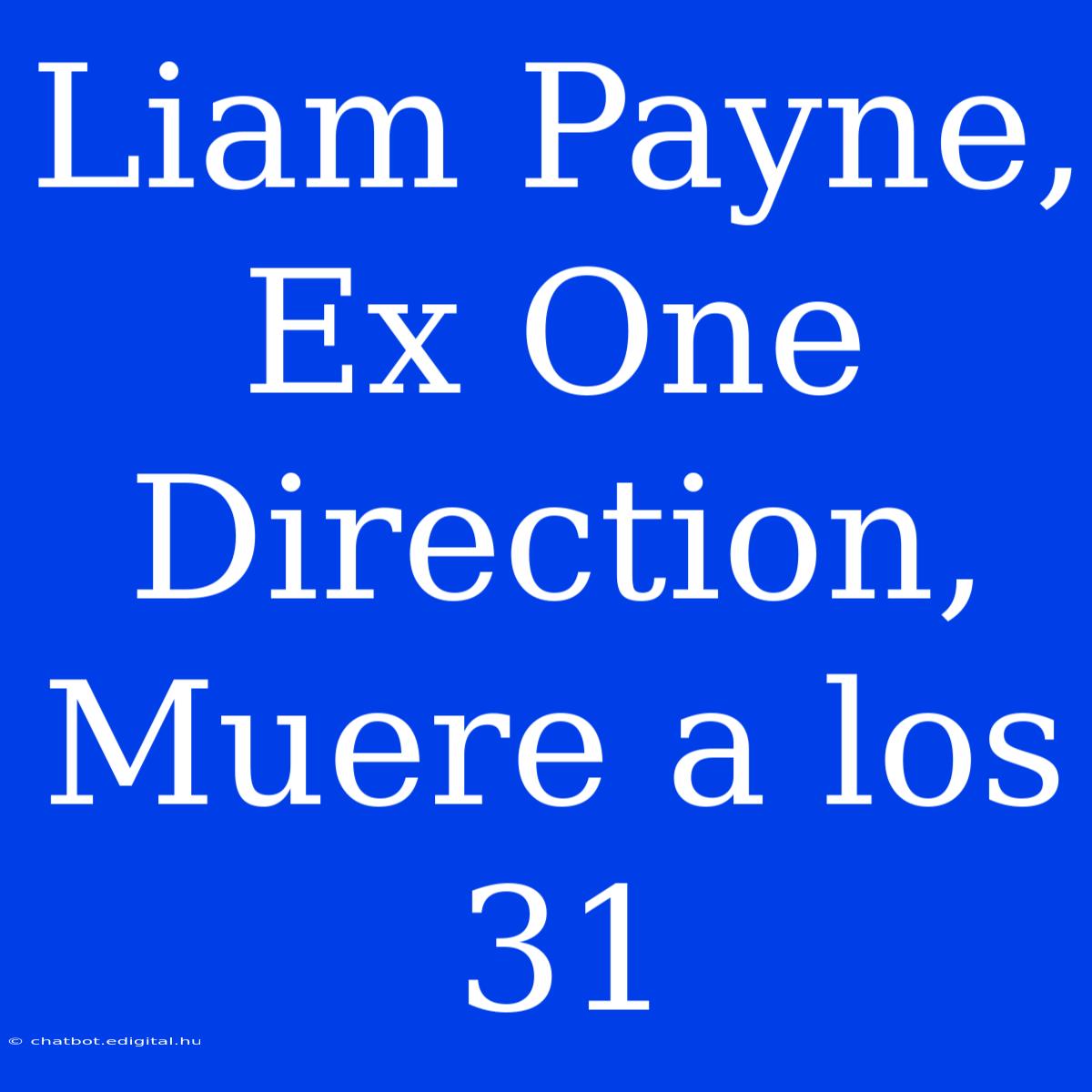 Liam Payne, Ex One Direction, Muere A Los 31