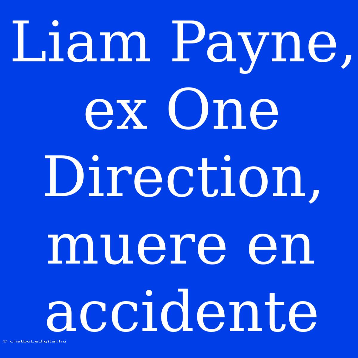 Liam Payne, Ex One Direction, Muere En Accidente