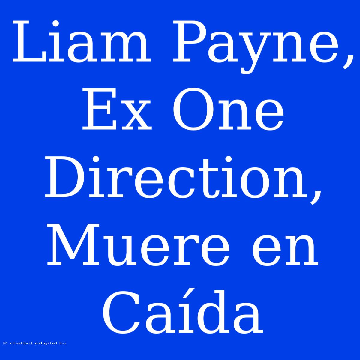 Liam Payne, Ex One Direction, Muere En Caída