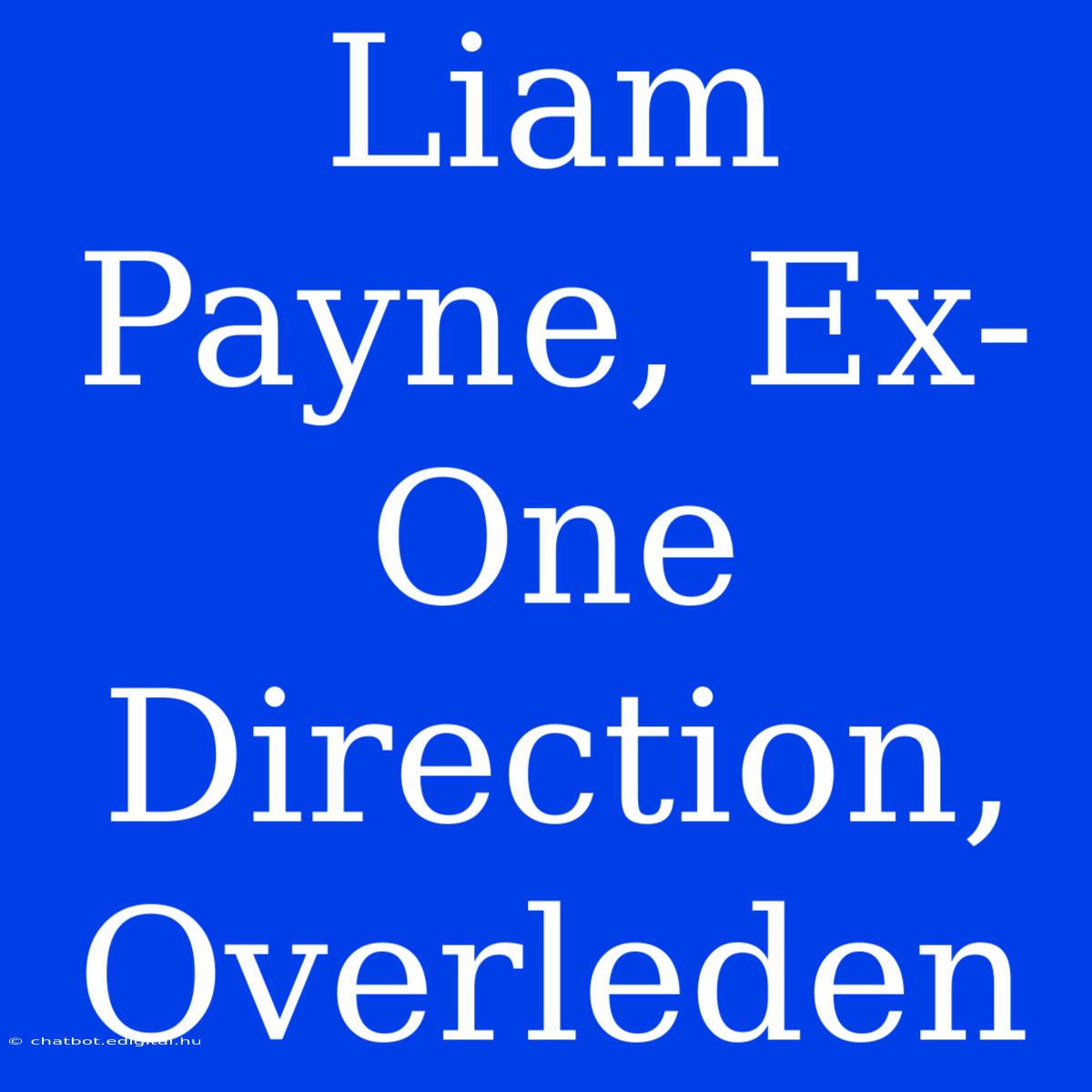 Liam Payne, Ex-One Direction, Overleden 