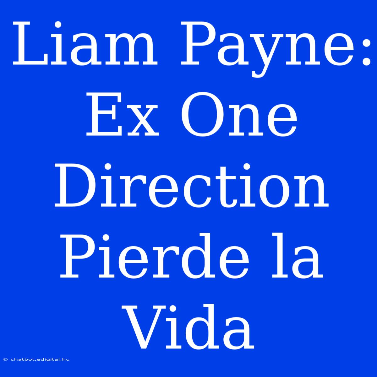 Liam Payne: Ex One Direction Pierde La Vida 