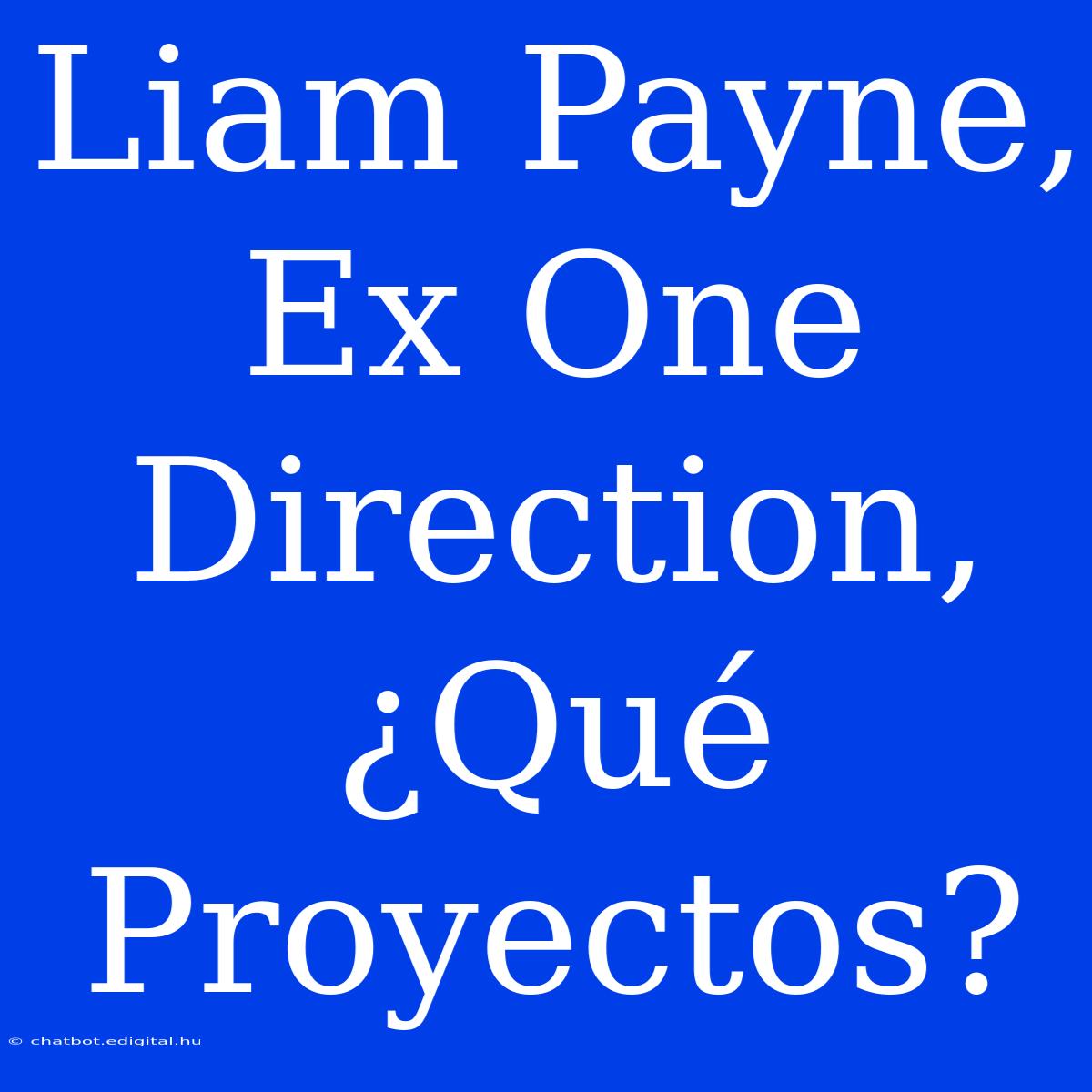 Liam Payne, Ex One Direction, ¿Qué Proyectos?