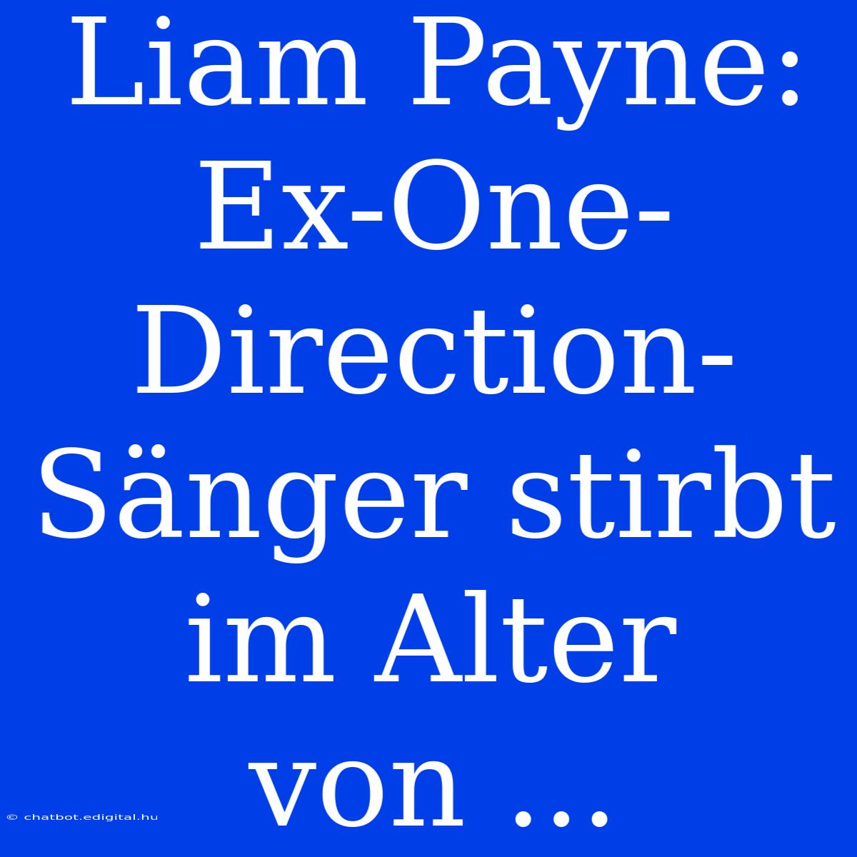 Liam Payne: Ex-One-Direction-Sänger Stirbt Im Alter Von ...