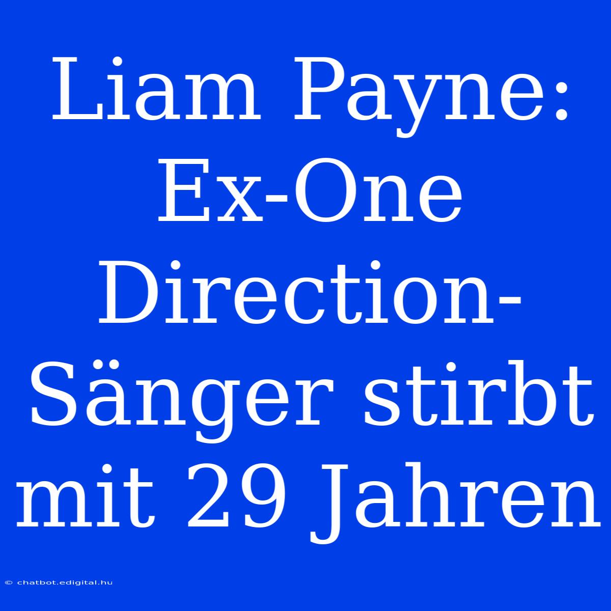 Liam Payne: Ex-One Direction-Sänger Stirbt Mit 29 Jahren