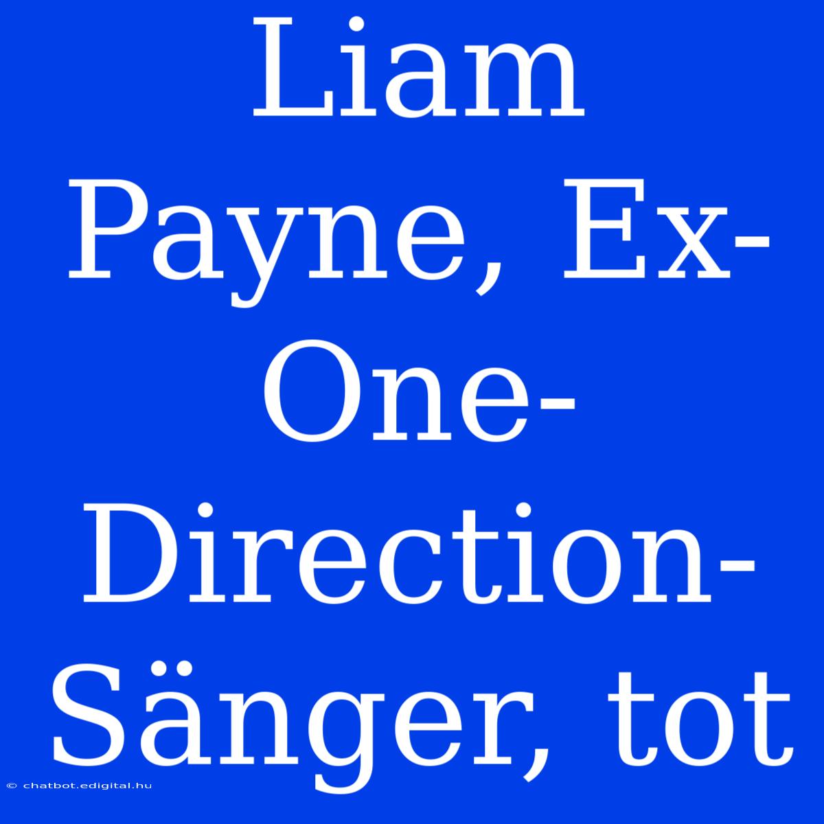 Liam Payne, Ex-One-Direction-Sänger, Tot