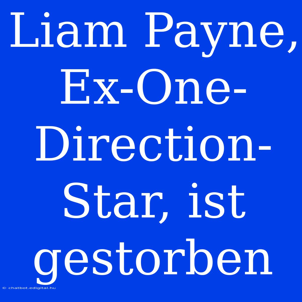 Liam Payne, Ex-One-Direction-Star, Ist Gestorben