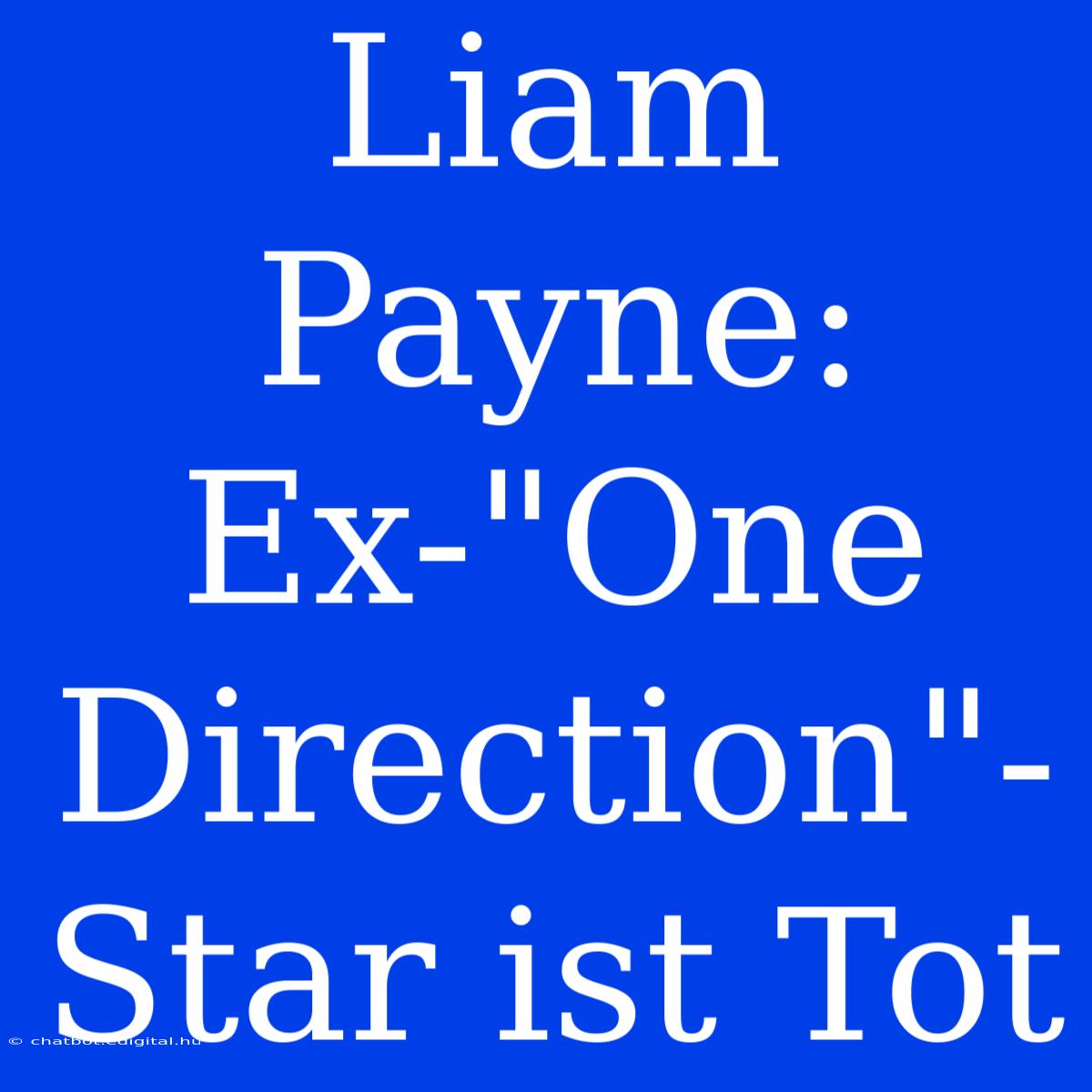 Liam Payne: Ex-