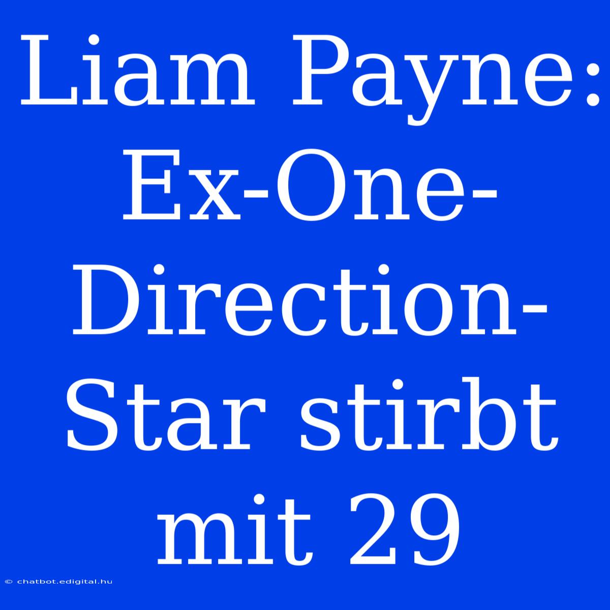 Liam Payne: Ex-One-Direction-Star Stirbt Mit 29