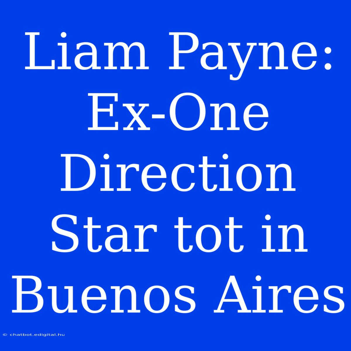 Liam Payne: Ex-One Direction Star Tot In Buenos Aires