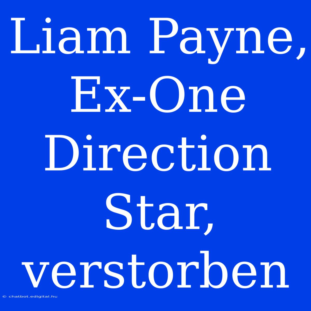 Liam Payne, Ex-One Direction Star, Verstorben