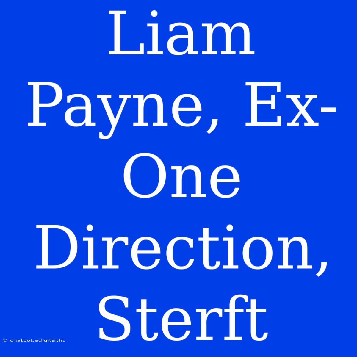 Liam Payne, Ex-One Direction, Sterft