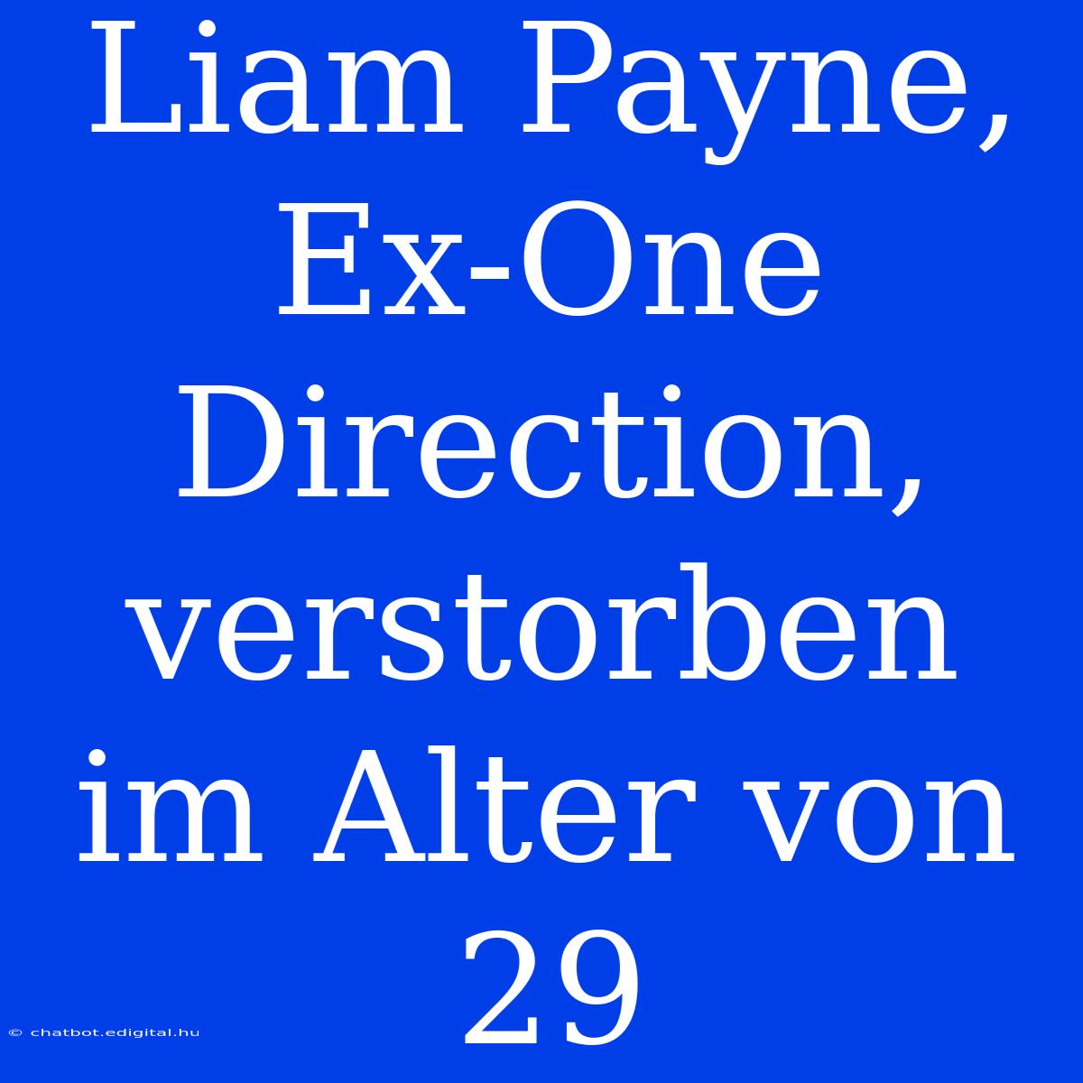 Liam Payne, Ex-One Direction, Verstorben Im Alter Von 29