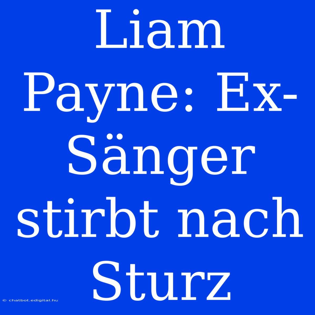 Liam Payne: Ex-Sänger Stirbt Nach Sturz