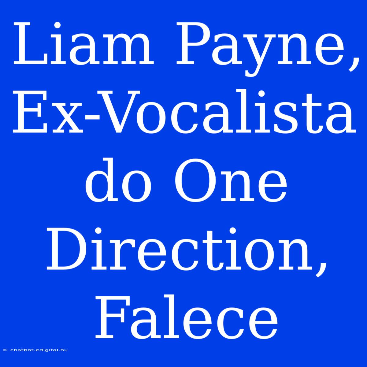 Liam Payne, Ex-Vocalista Do One Direction, Falece