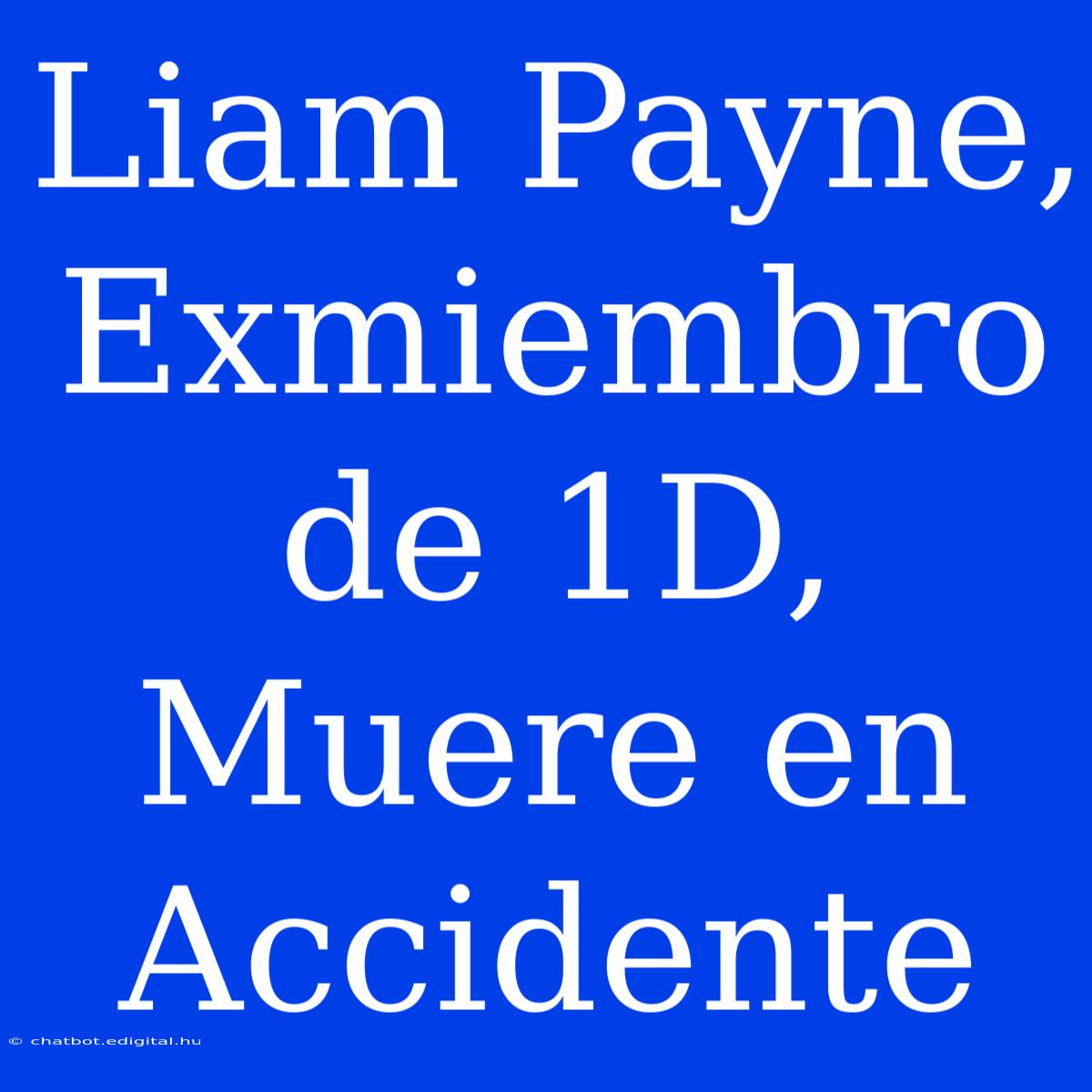 Liam Payne, Exmiembro De 1D, Muere En Accidente