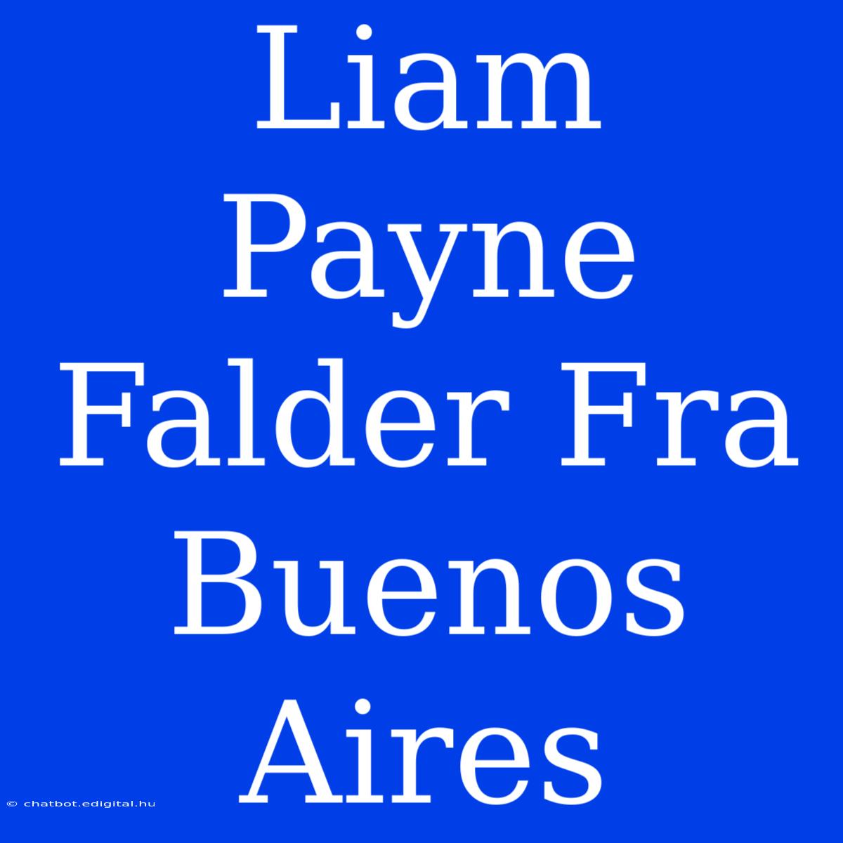 Liam Payne Falder Fra Buenos Aires