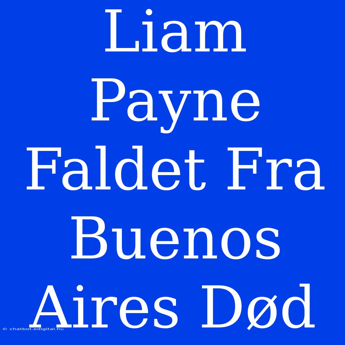 Liam Payne Faldet Fra Buenos Aires Død