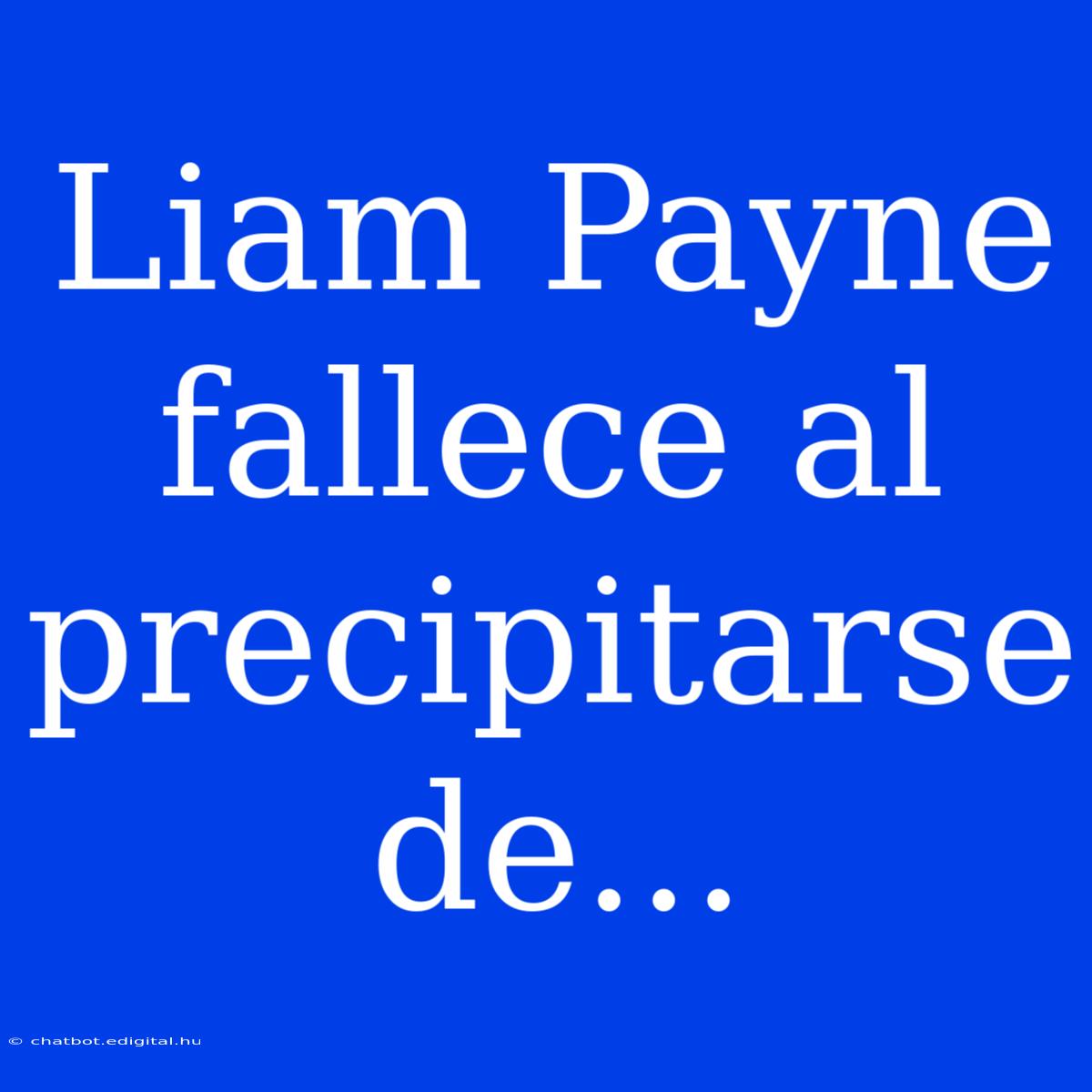 Liam Payne Fallece Al Precipitarse De...