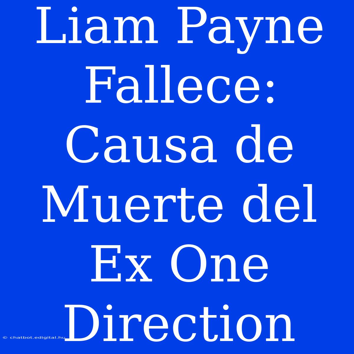 Liam Payne Fallece: Causa De Muerte Del Ex One Direction