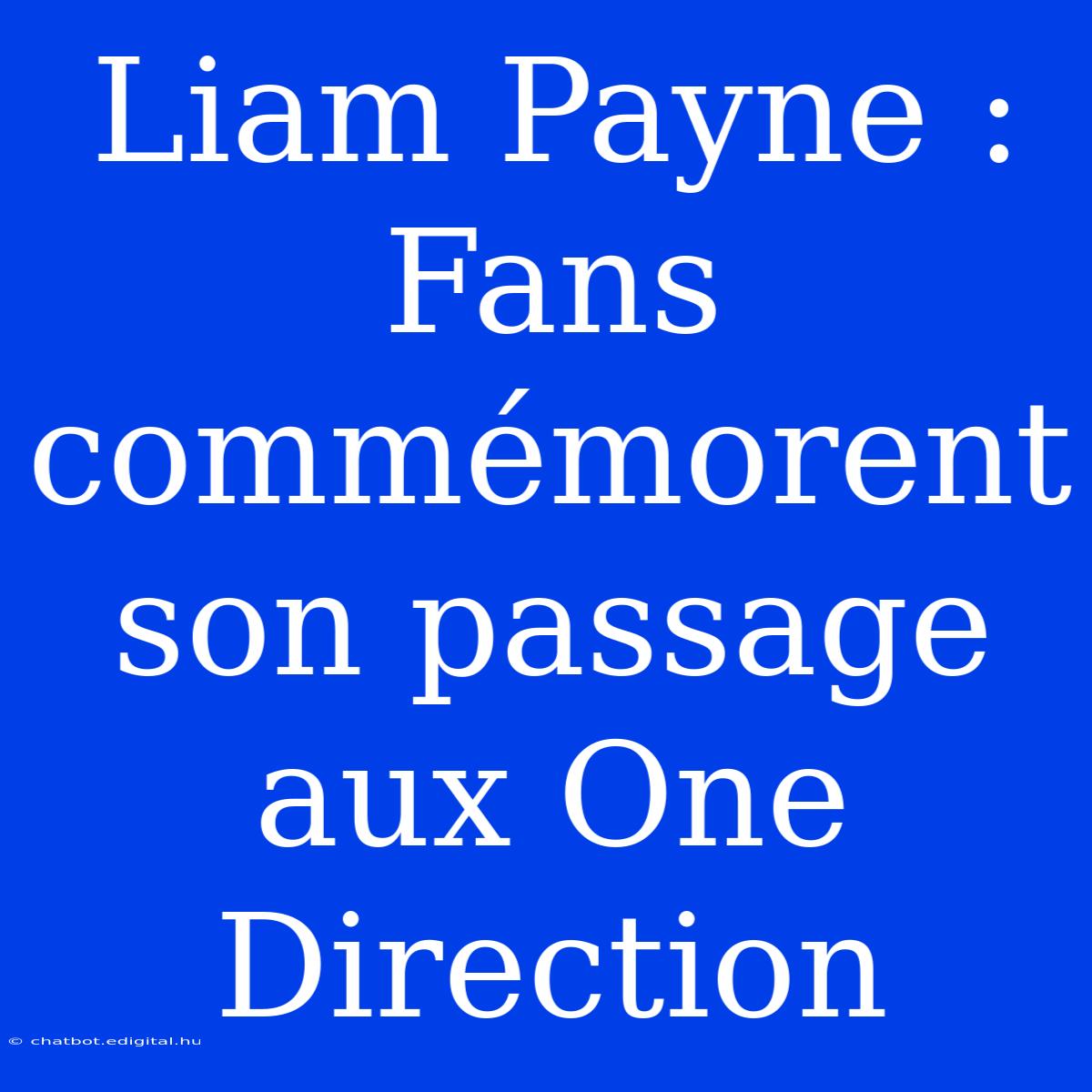 Liam Payne : Fans Commémorent Son Passage Aux One Direction