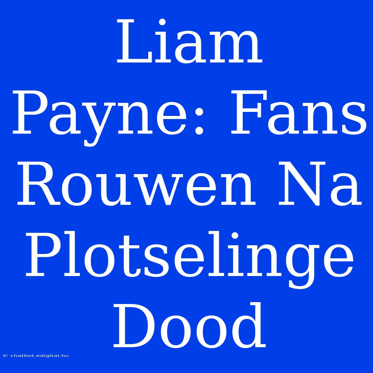 Liam Payne: Fans Rouwen Na Plotselinge Dood